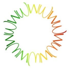 Wisdom and Wellbeing